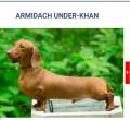 Armidach Under-Khan